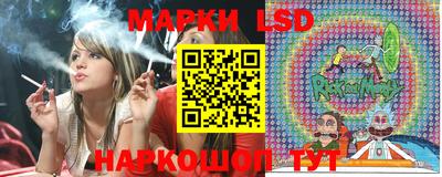 мяу мяу мука Камышлов
