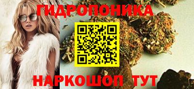 гашик Канаш