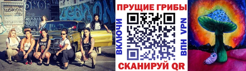 Псилоцибиновые грибы Psilocybe  Соль-Илецк 